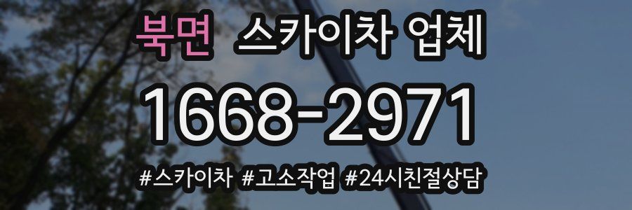 북면 스카이차 업체