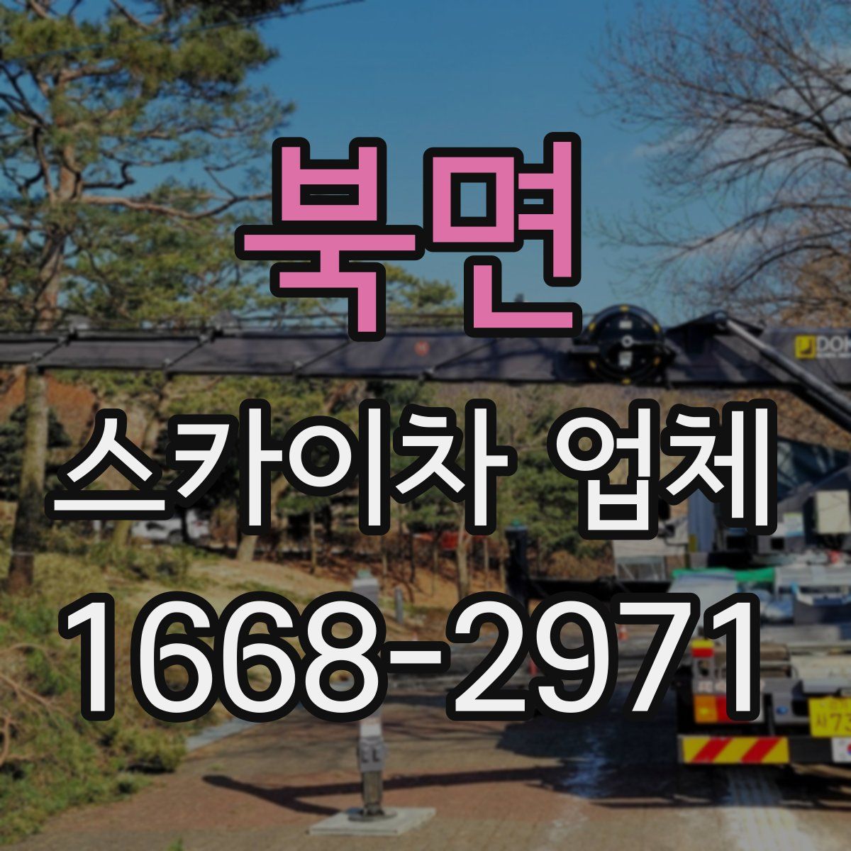 북면 스카이차 업체