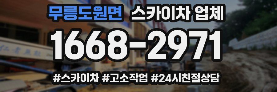 무릉도원면 스카이차 업체