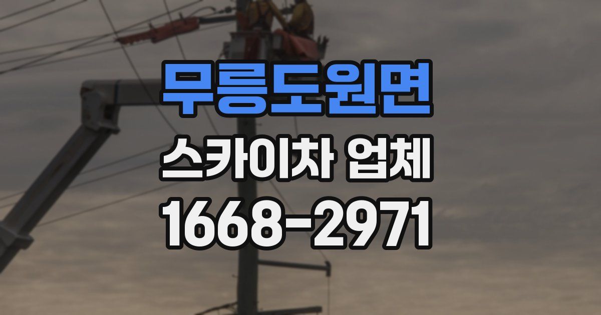 무릉도원면 스카이차 업체