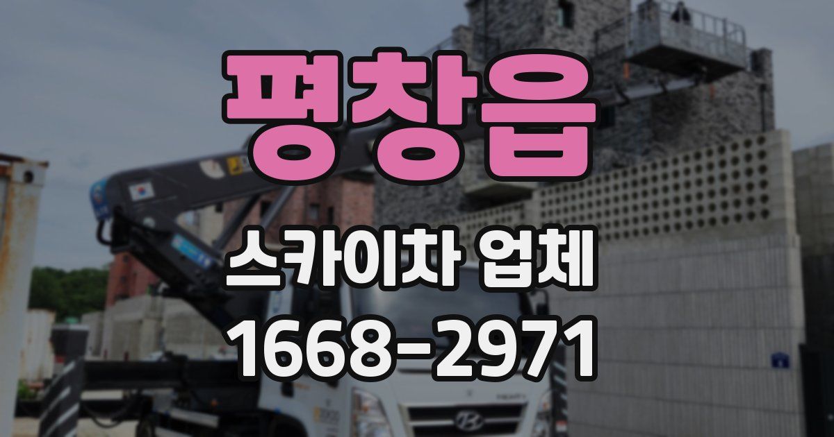 평창읍 스카이차 업체