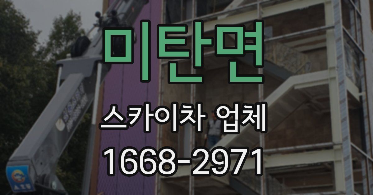 미탄면 스카이차 업체