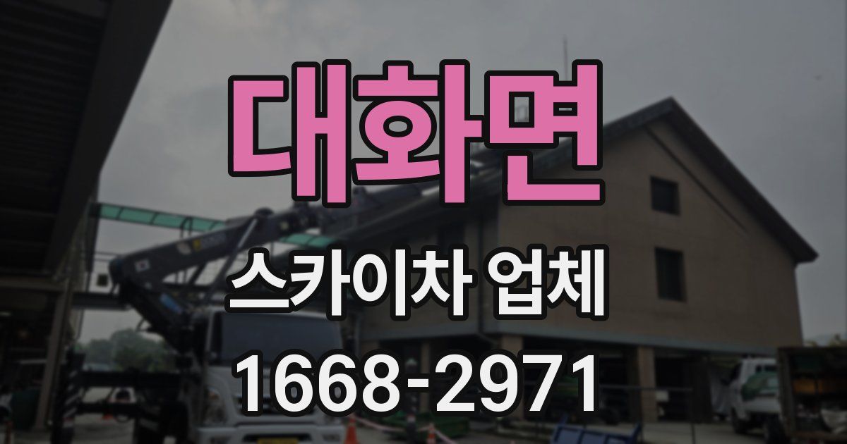 대화면 스카이차 업체