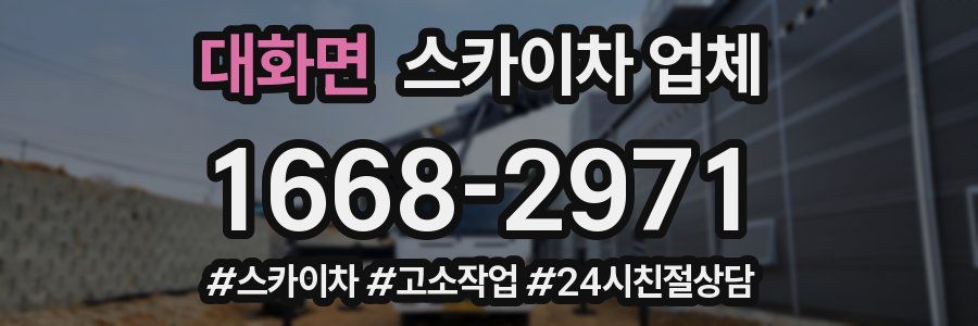 대화면 스카이차 업체