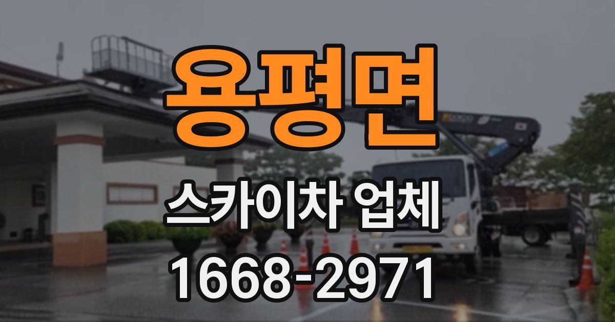용평면 스카이차 업체
