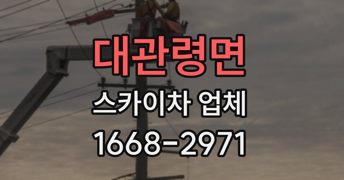 대관령면 스카이차 업체