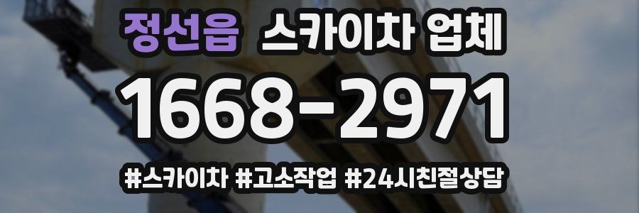 정선읍 스카이차 업체