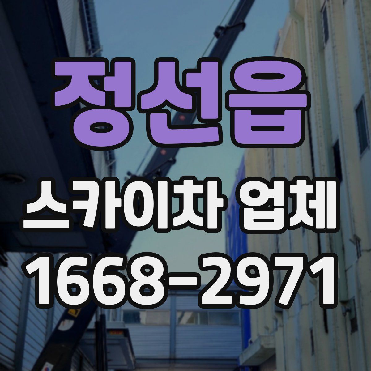 정선읍 스카이차 업체