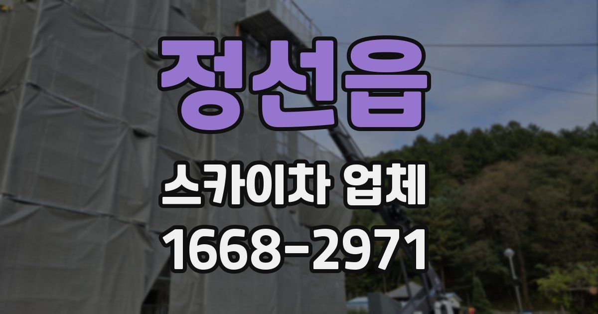 정선읍 스카이차 업체