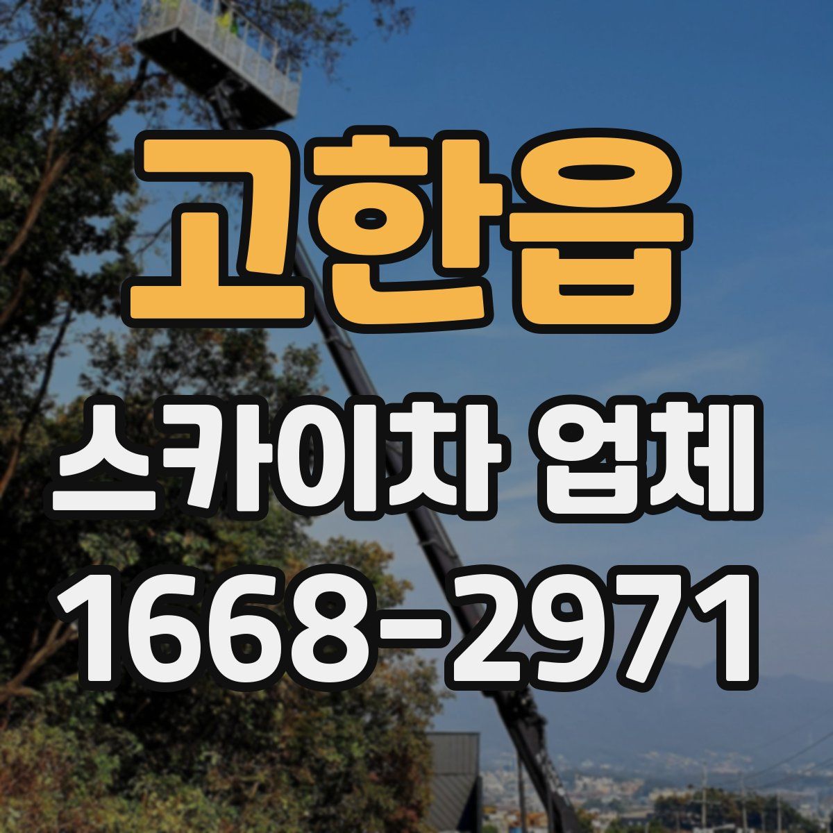 고한읍 스카이차 업체