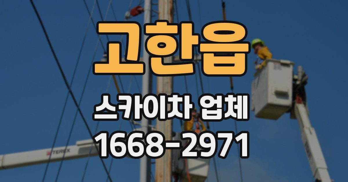 고한읍 스카이차 업체