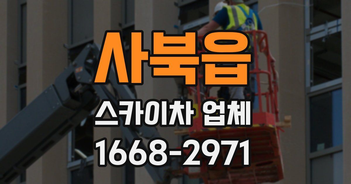 사북읍 스카이차 업체