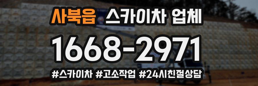 사북읍 스카이차 업체
