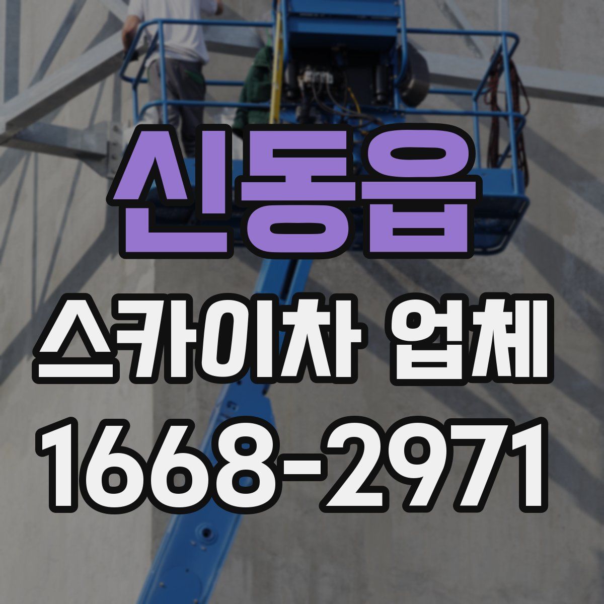 신동읍 스카이차 업체
