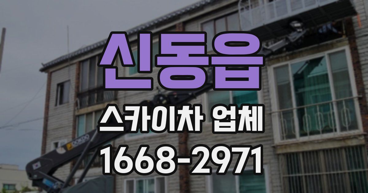 신동읍 스카이차 업체