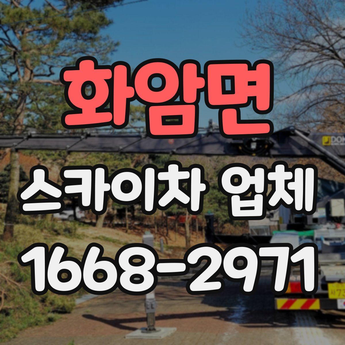 화암면 스카이차 업체