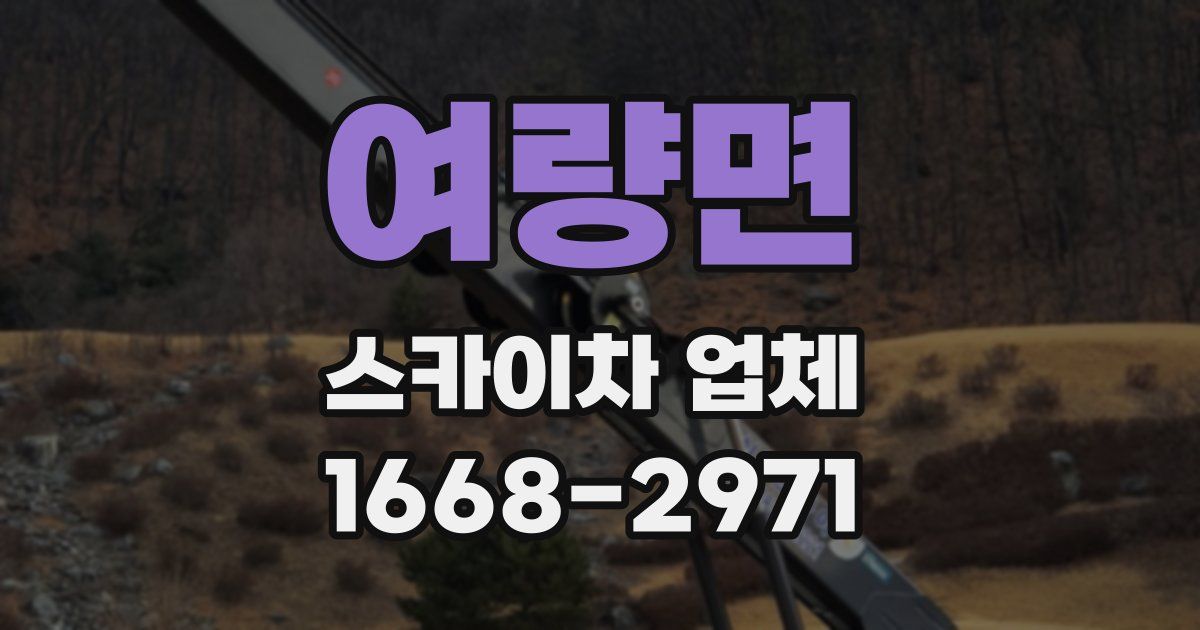 여량면 스카이차 업체