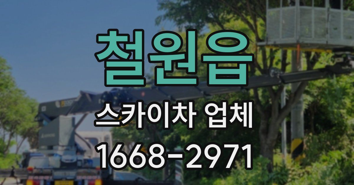 철원읍 스카이차 업체
