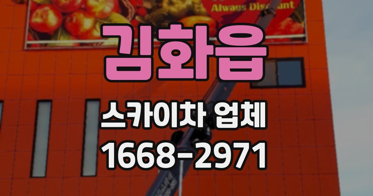 김화읍 스카이차 업체