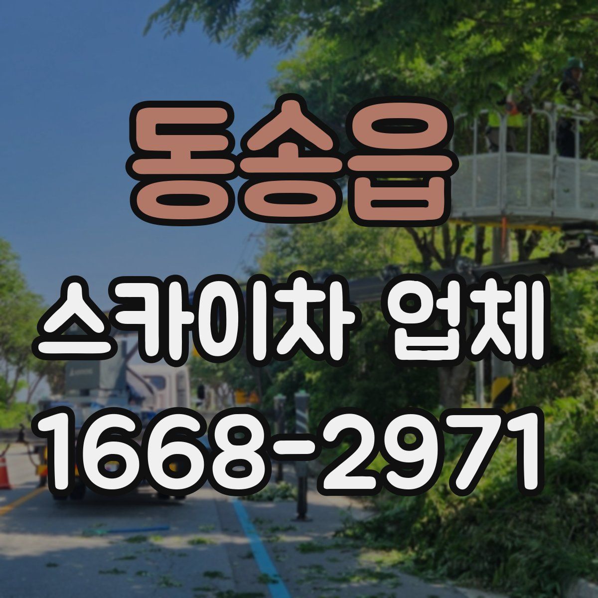 동송읍 스카이차 업체