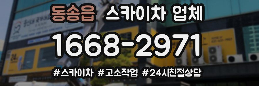 동송읍 스카이차 업체