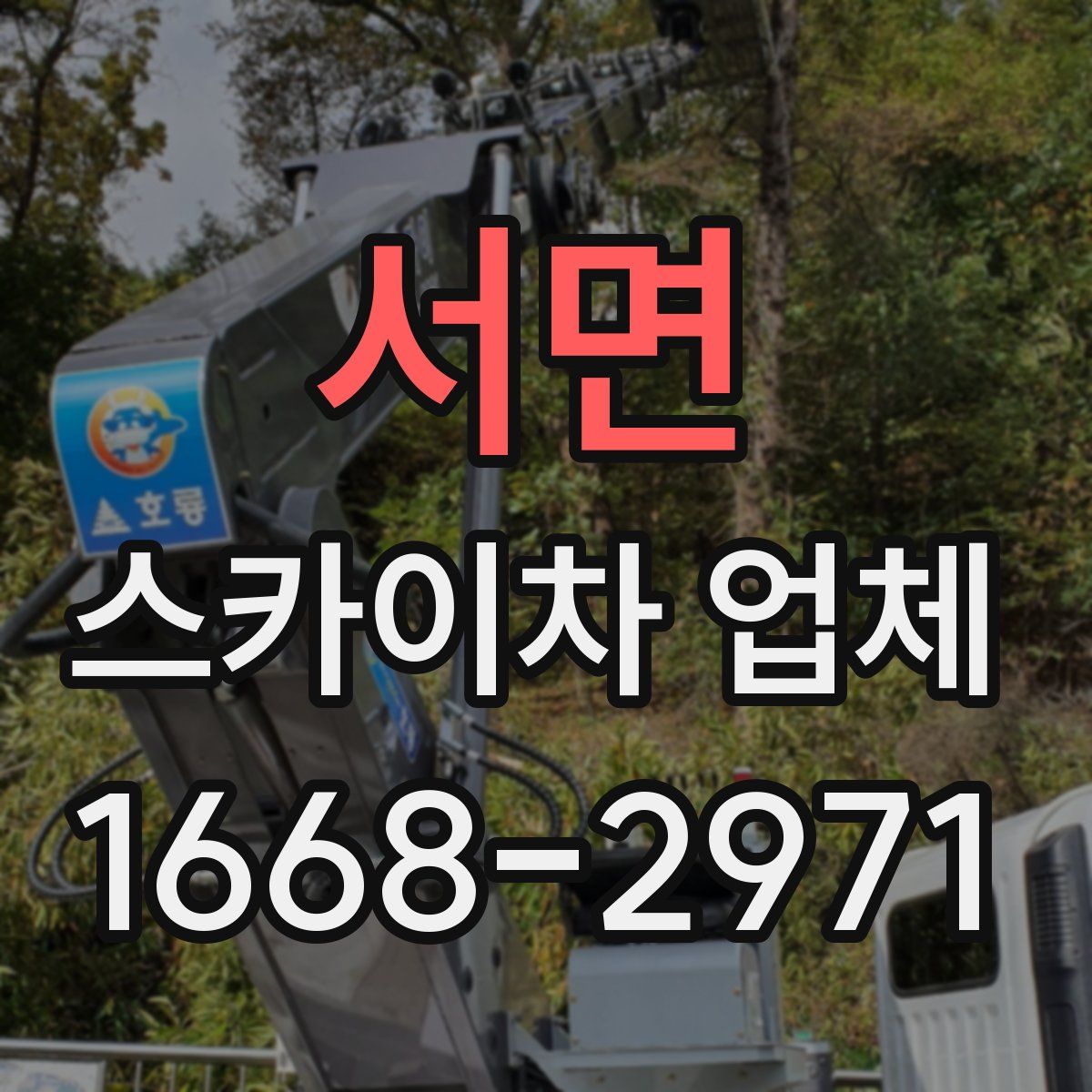 서면 스카이차 업체