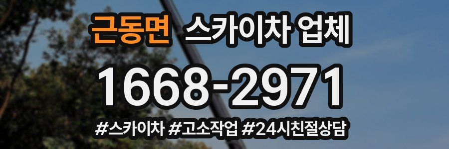 근동면 스카이차 업체