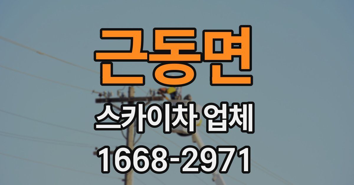 근동면 스카이차 업체