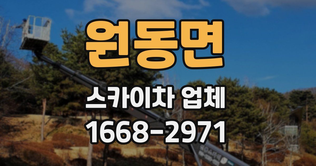 원동면 스카이차 업체