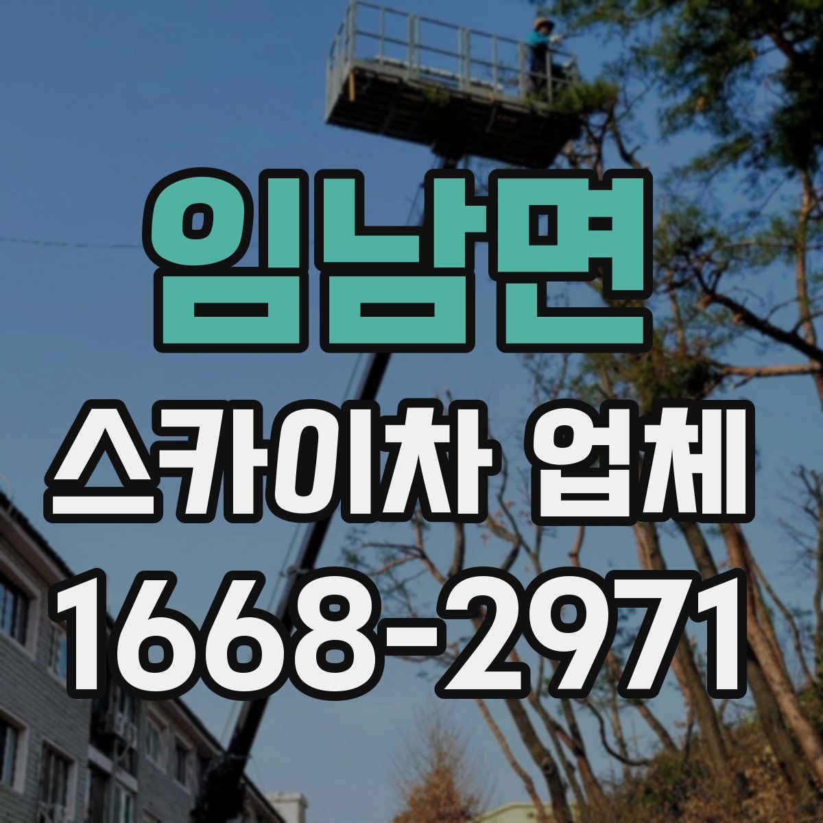 임남면 스카이차 업체