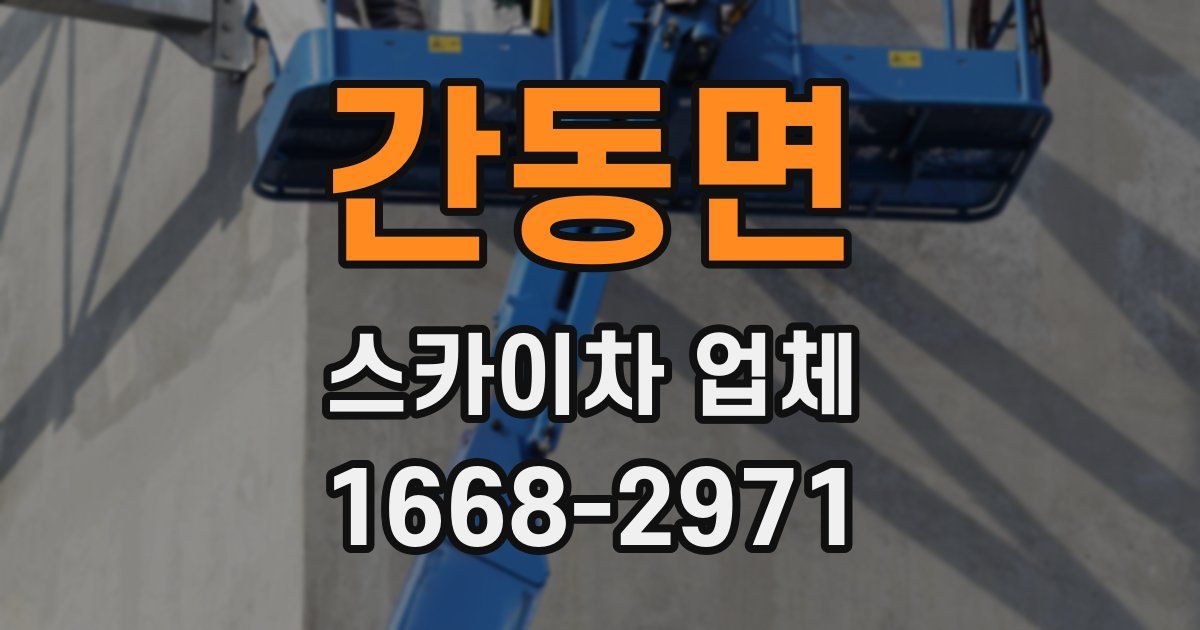간동면 스카이차 업체