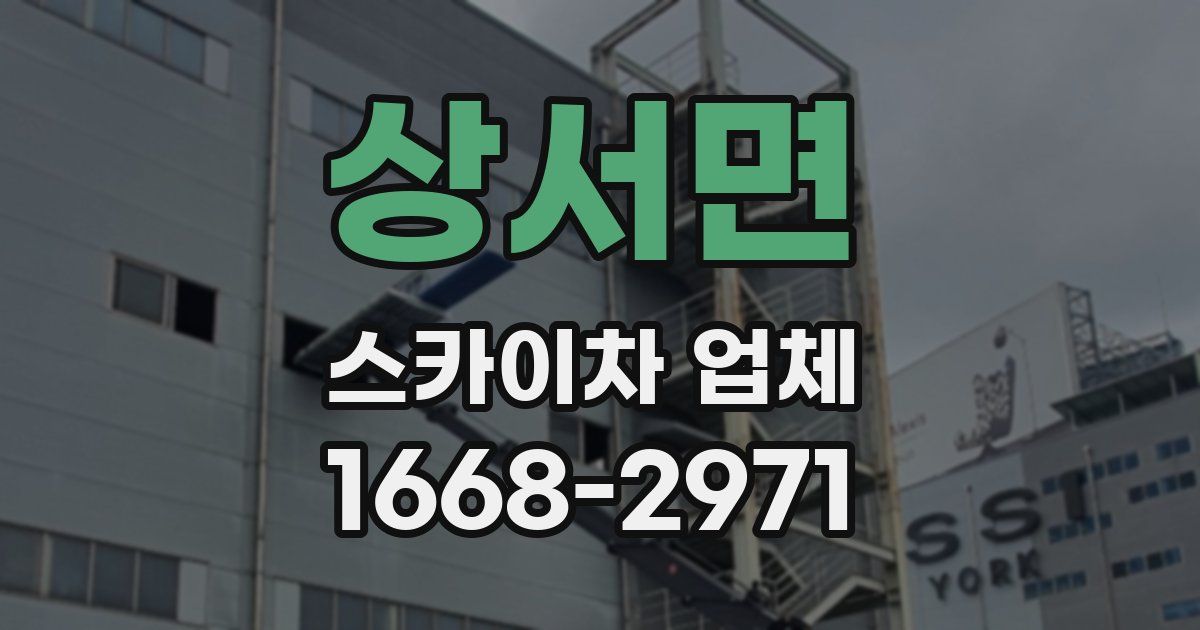 상서면 스카이차 업체