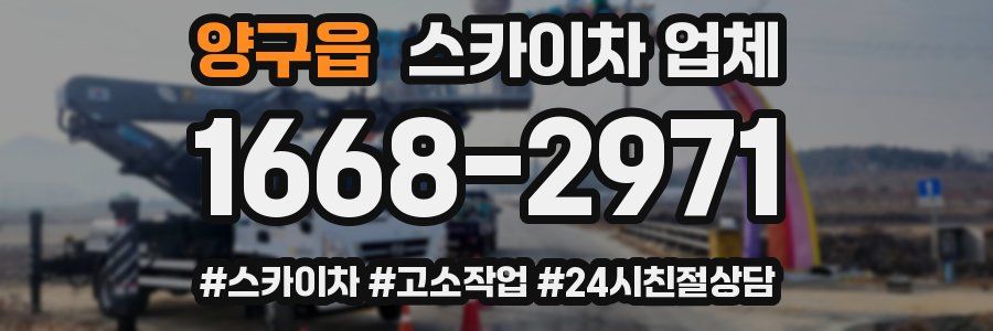 양구읍 스카이차 업체