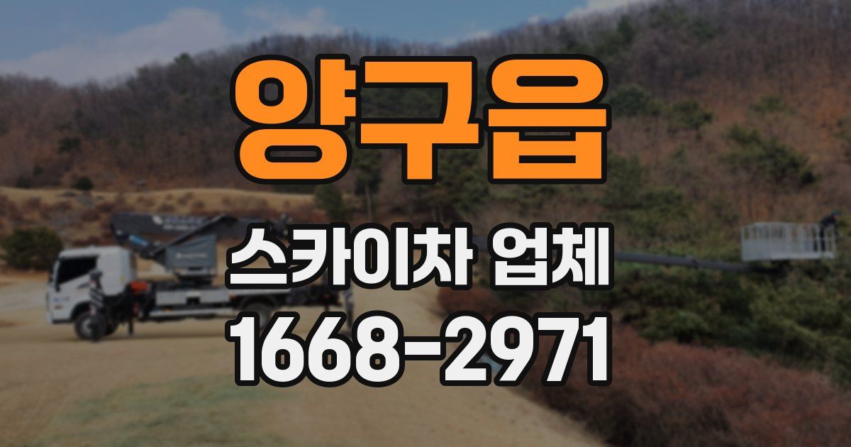 양구읍 스카이차 업체