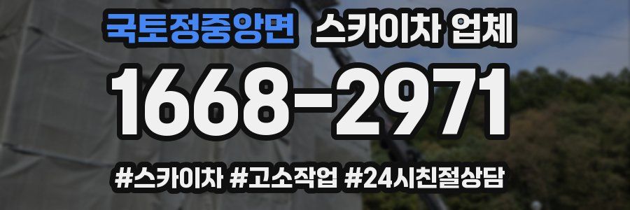 국토정중앙면 스카이차 업체