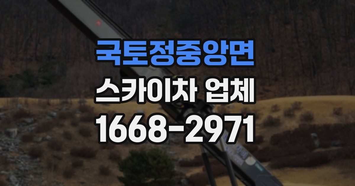 국토정중앙면 스카이차 업체
