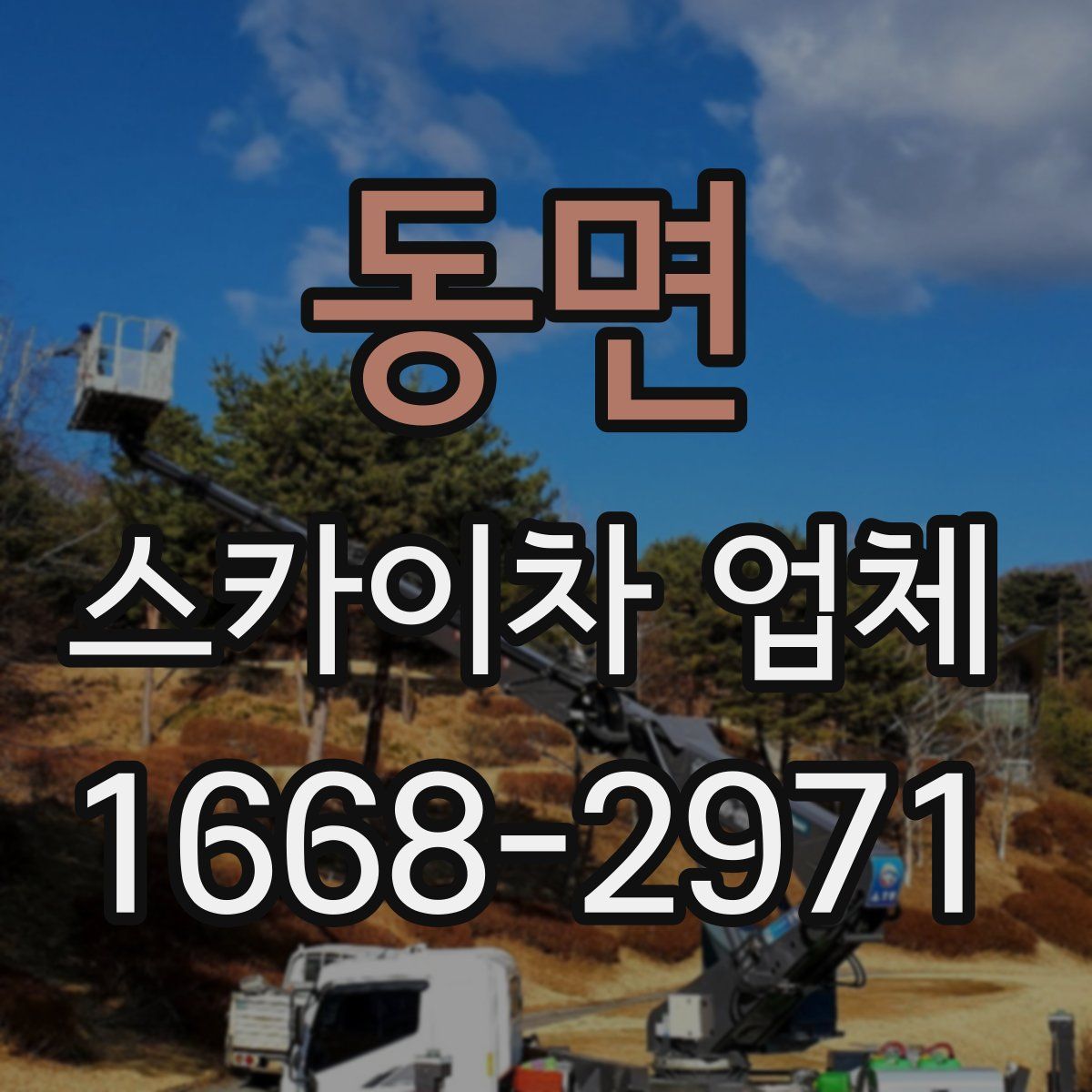 동면 스카이차 업체