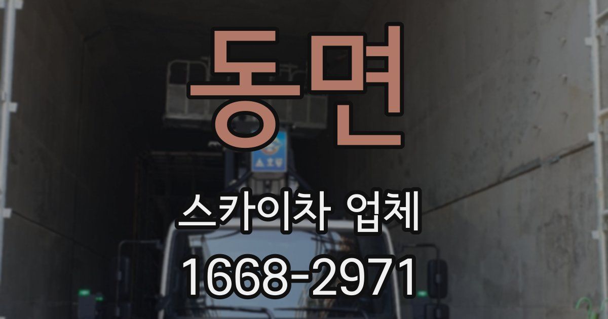 동면 스카이차 업체