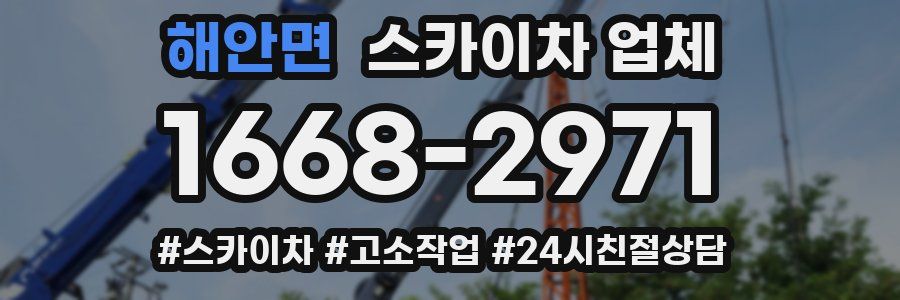 해안면 스카이차 업체