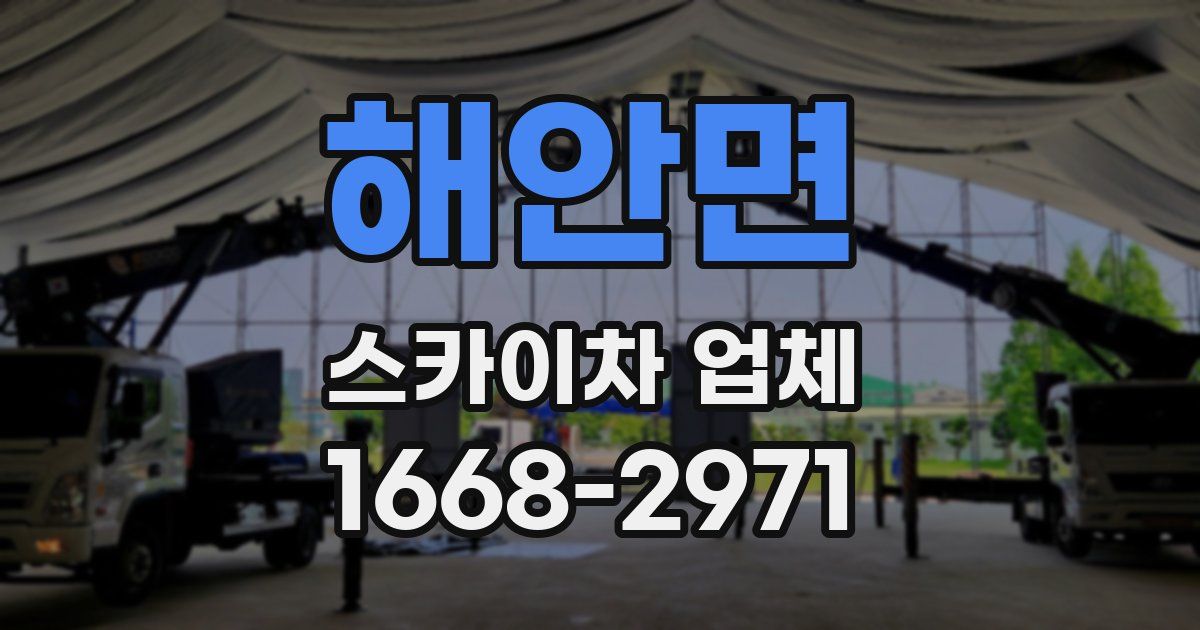 해안면 스카이차 업체