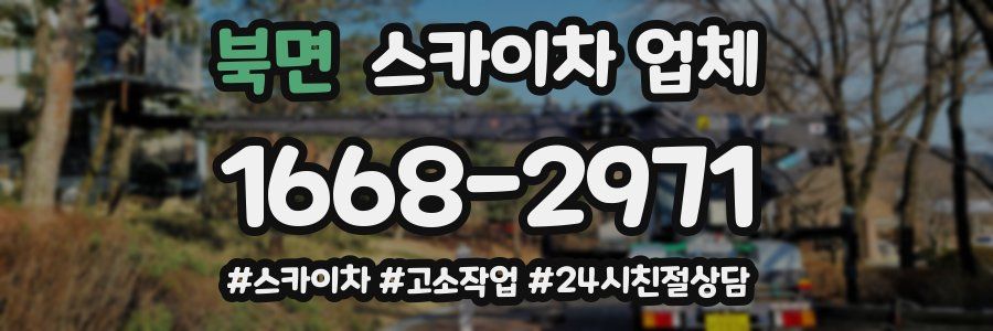 북면 스카이차 업체