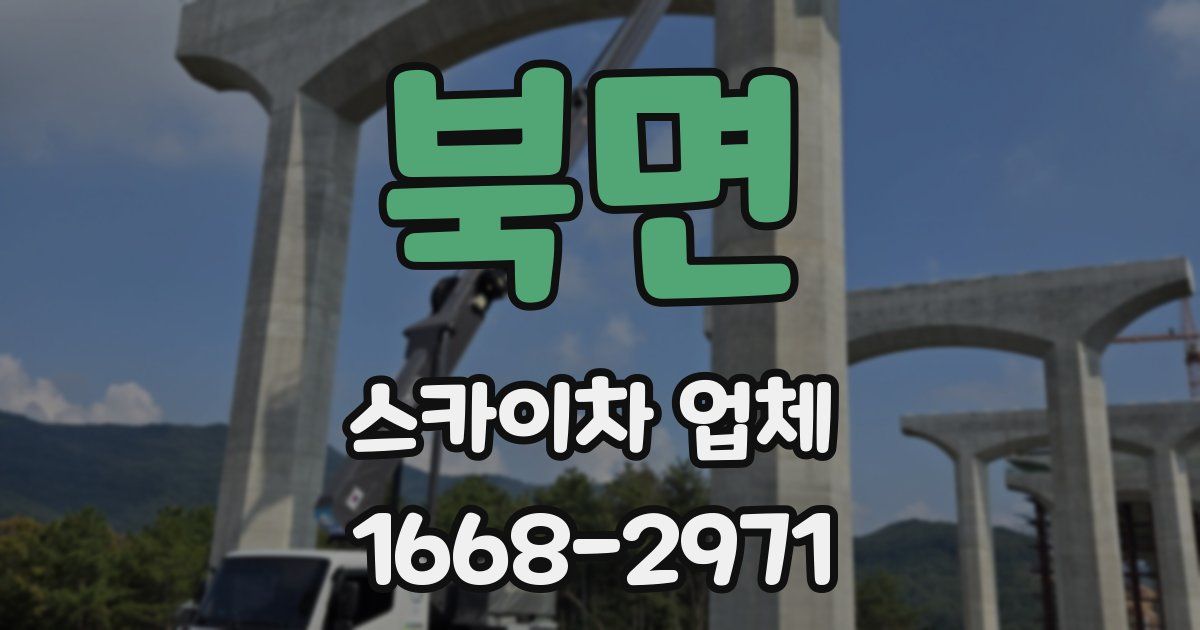 북면 스카이차 업체