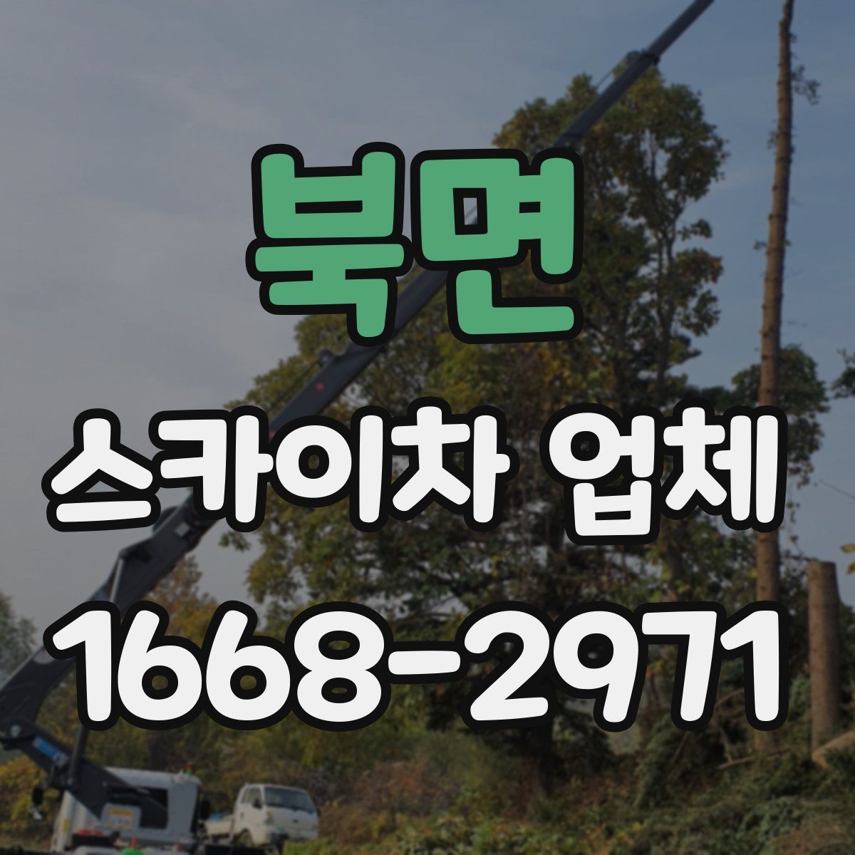 북면 스카이차 업체