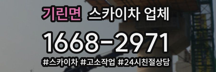 기린면 스카이차 업체