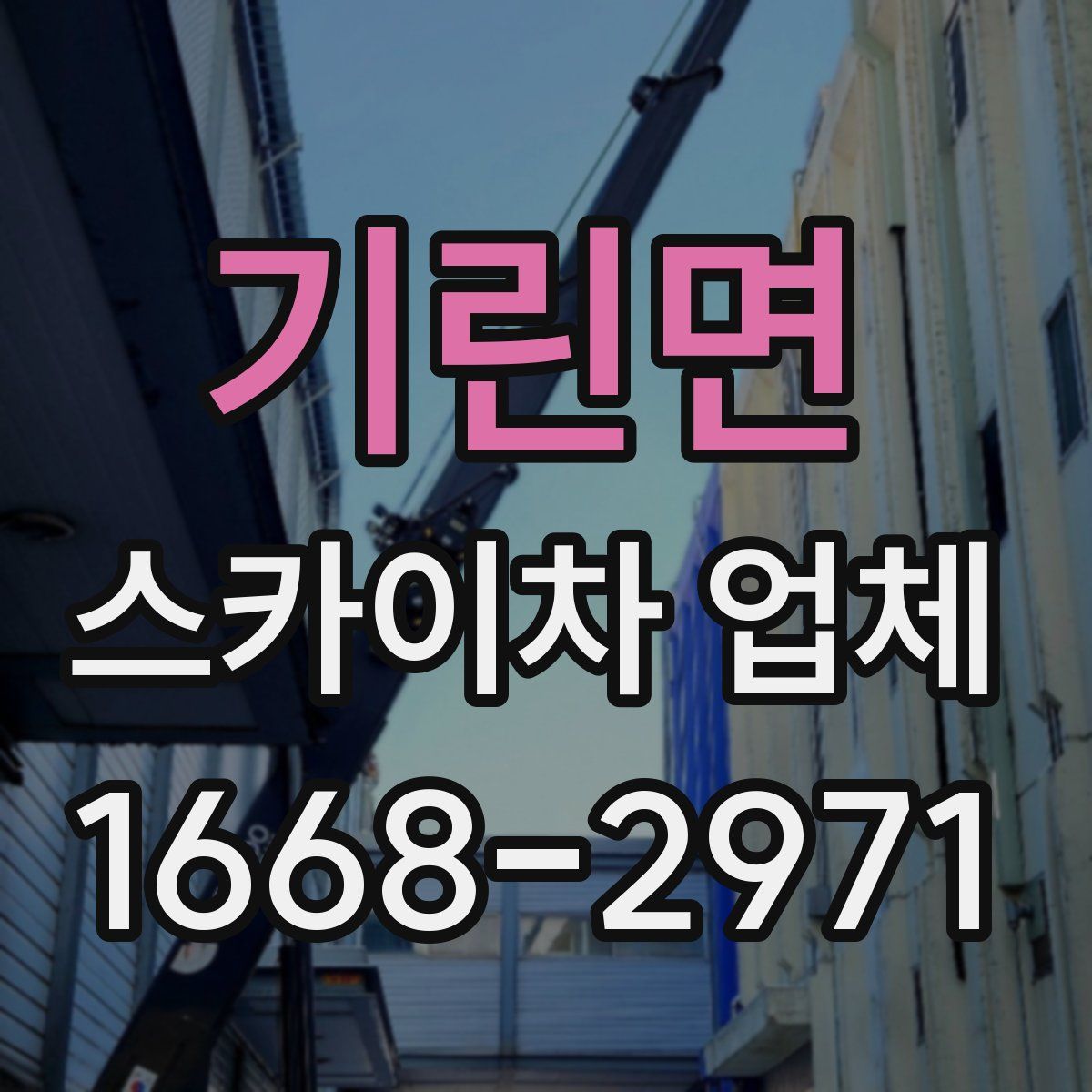 기린면 스카이차 업체