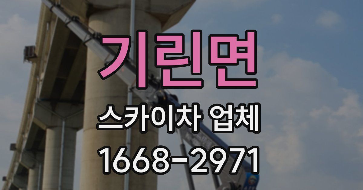 기린면 스카이차 업체
