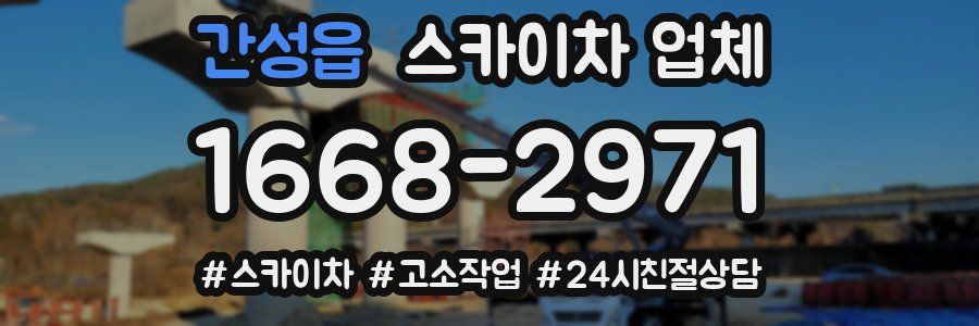 간성읍 스카이차 업체