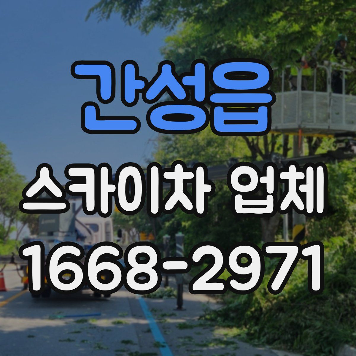 간성읍 스카이차 업체