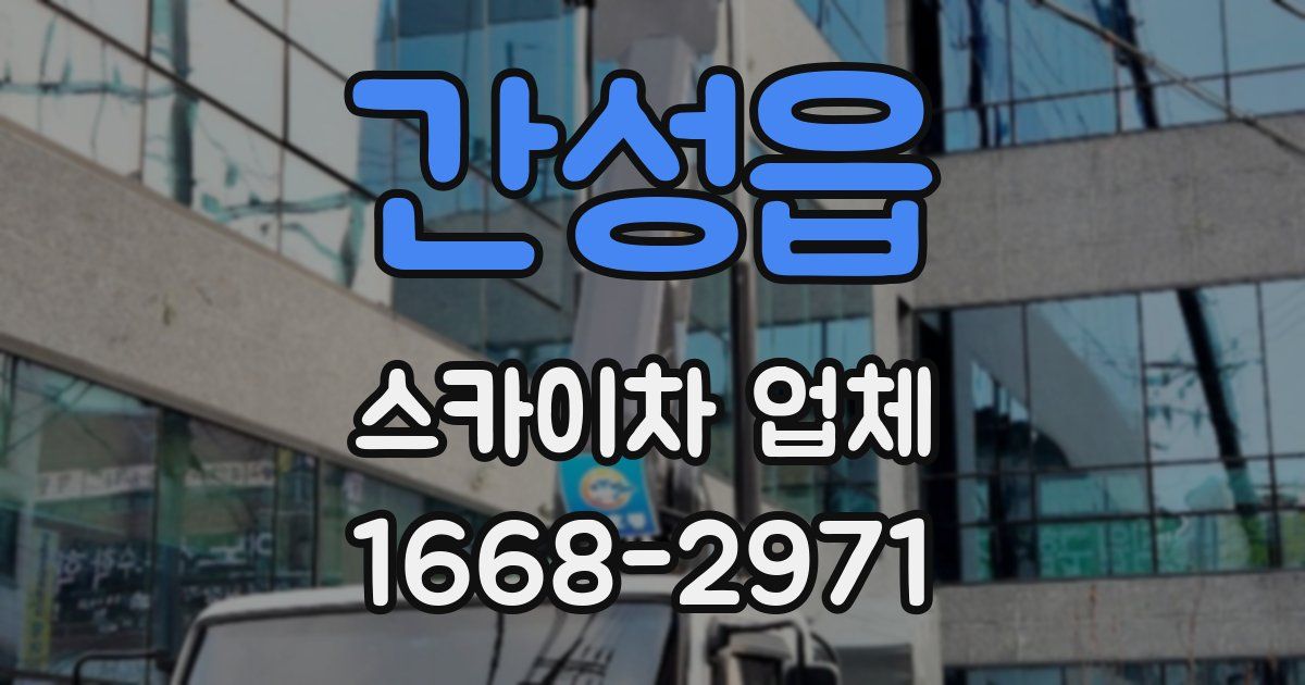 간성읍 스카이차 업체