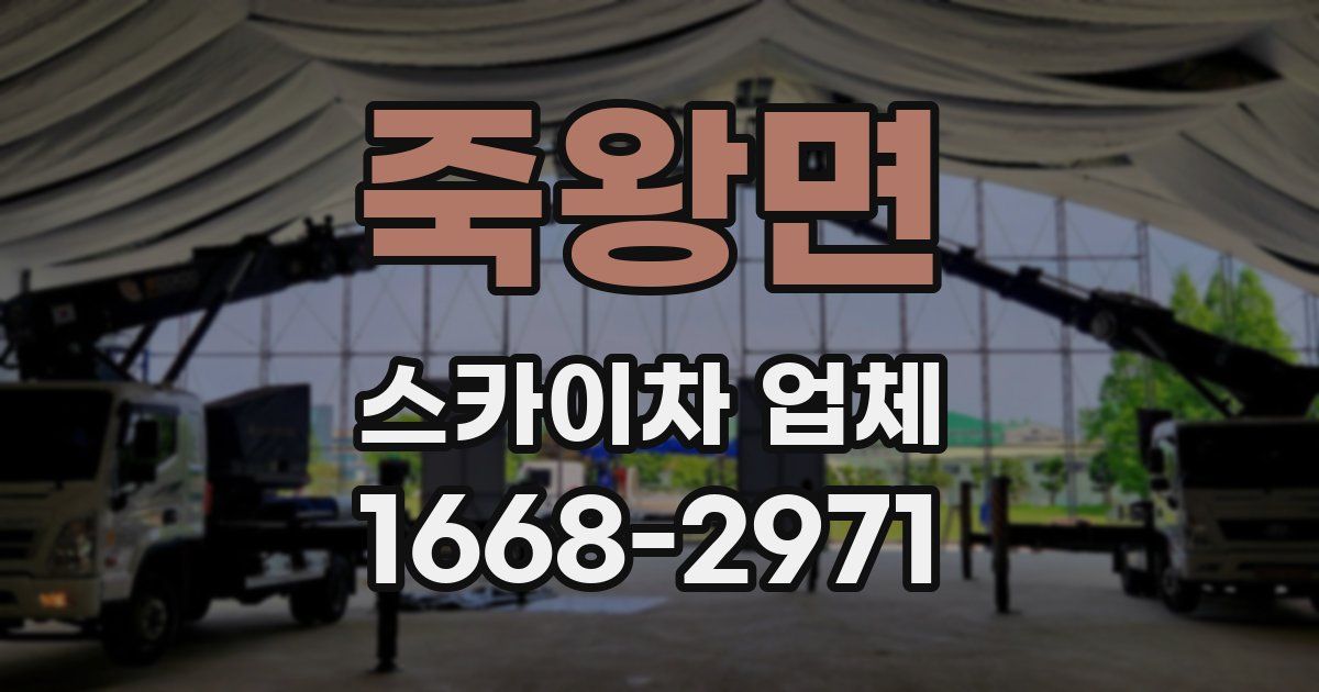 죽왕면 스카이차 업체